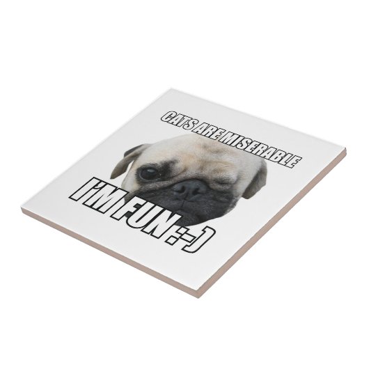 KATTEN ZIJN MISERBAAR IK BEN VRIJ :-) MEME TEGELTJE (Zijkant)