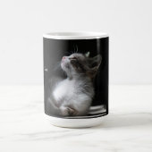 Katten zijn mok van engelen (Center)