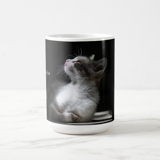 Katten zijn mok van engelen (Center)