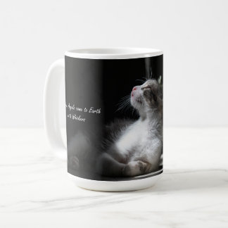Katten zijn mok van engelen