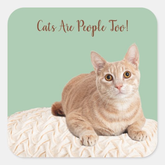 Katten zijn ook Stickers (Voorkant)