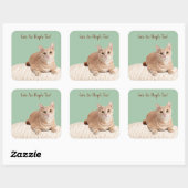 Katten zijn ook Stickers (Vel)
