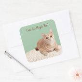 Katten zijn ook Stickers (Envelop)