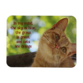 Katten zijn Oranje Magneet (Horizontaal)