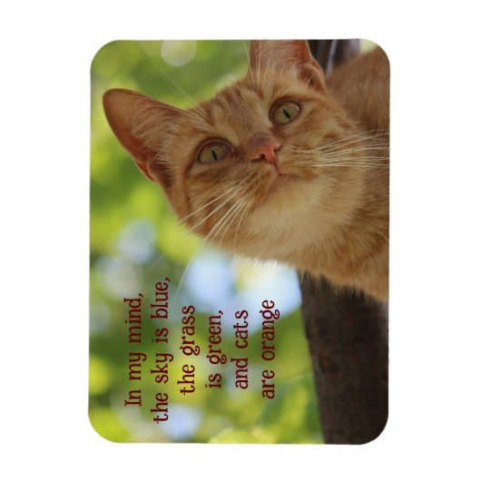 Katten zijn Oranje Magneet (Verticaal)