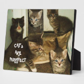 KATTEN ZIJN PERFECT FOTOPLAAT (Zijkant)