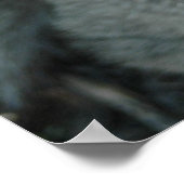 Katten zijn schattig poster (Hoek)