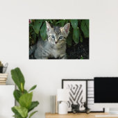 Katten zijn schattig poster (Thuiskantoor)