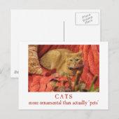 Katten zijn sierlijk briefkaart (Voorkant / Achterkant)