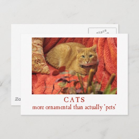Katten zijn sierlijk briefkaart (Voorkant / Achterkant)
