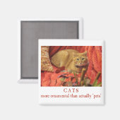 Katten zijn sierlijk magneet (Voorkant / Achterkant)
