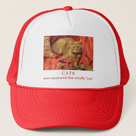 Katten zijn sierlijk trucker pet (Voorkant)