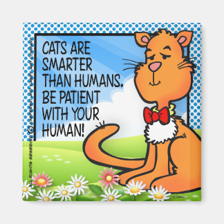 Katten zijn slimmer magneet