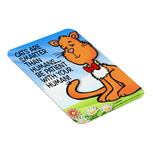 Katten zijn slimmer magneet (Rechterzijde)