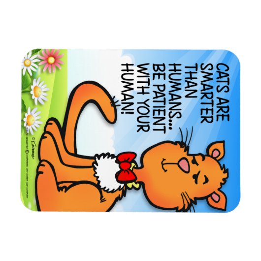 Katten zijn slimmer magneet (Horizontaal)