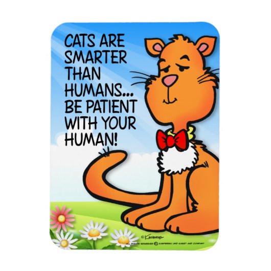 Katten zijn slimmer magneet (Verticaal)