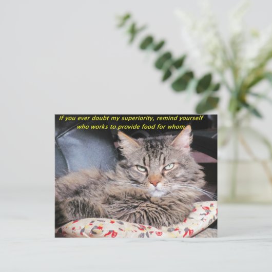 Katten zijn superieur briefkaart (Staand voorkant)