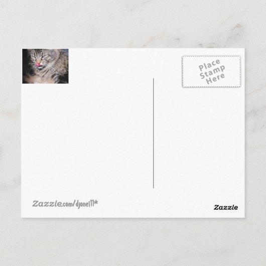 Katten zijn superieur briefkaart (Achterkant)