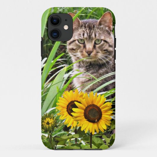  Katten zitten in de tuin met zonnebloemen  Case-Mate iPhone Case (Achterkant)