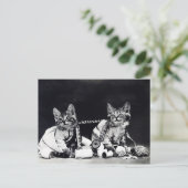 Katten  zwart-wit naaien briefkaart (Staand voorkant)