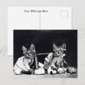 Katten  zwart-wit naaien briefkaart (Voorkant / Achterkant)