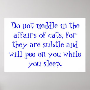 Kattenaangelegenheden Poster