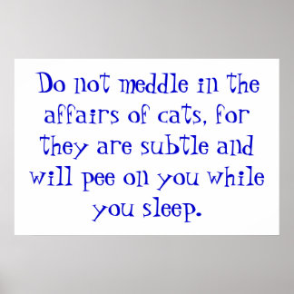 Kattenaangelegenheden Poster