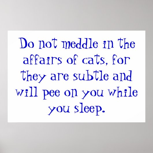 Kattenaangelegenheden Poster (Voorkant)