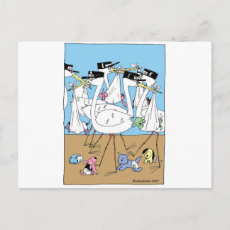 kattenaankondiging aankondigingskaart