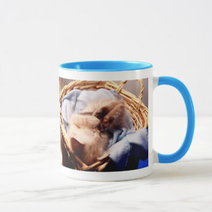kattenallergische humor mok