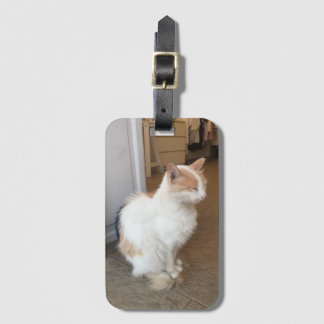 Kattenbagage label bagagelabel