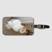 Kattenbagage label bagagelabel (Voorkant (horizontaal))