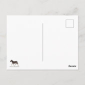 kattenbak briefkaart (Achterkant)