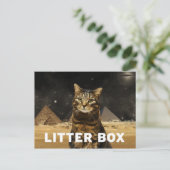 kattenbak briefkaart (Staand voorkant)