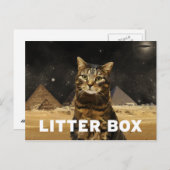 kattenbak briefkaart (Voorkant / Achterkant)