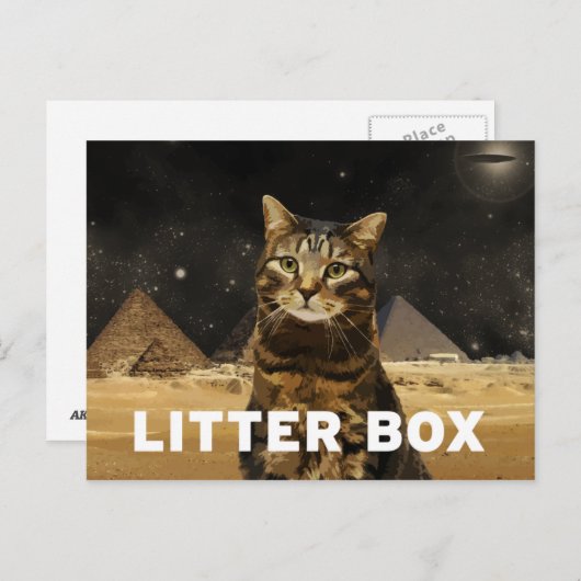 kattenbak briefkaart (Voorkant / Achterkant)