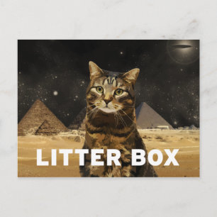 kattenbak briefkaart