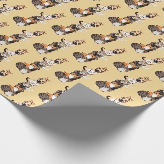 kattenbak cadeaupapier (Hoek)