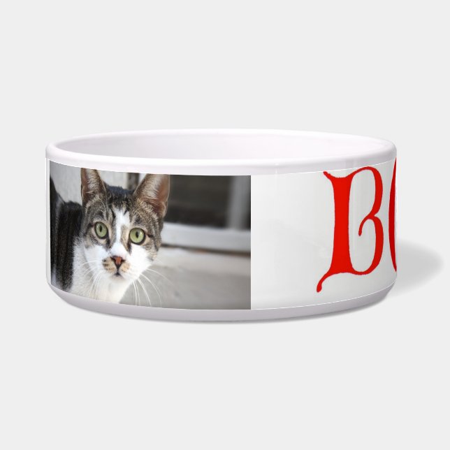 Kattenbak Voerbakje (Voorkant)