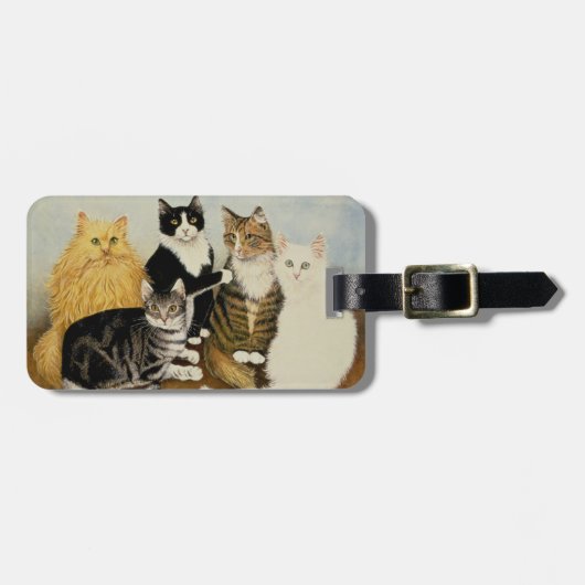 Kattenbakken Bagagelabel (Voorkant horizontaal)