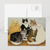 Kattenbakken Briefkaart (Voorkant / Achterkant)