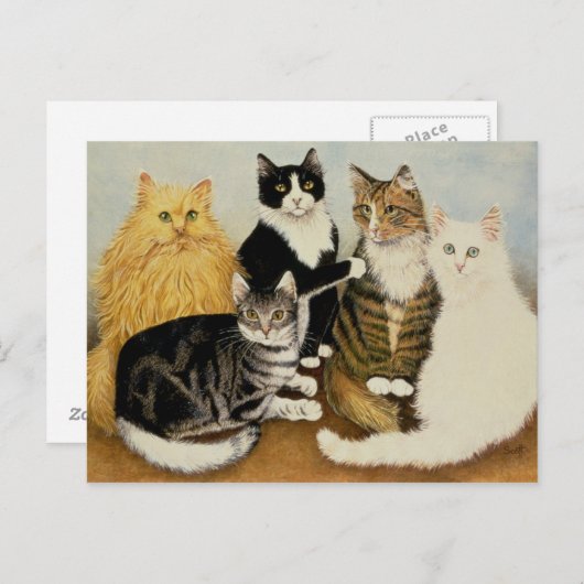 Kattenbakken Briefkaart (Voorkant / Achterkant)