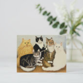 Kattenbakken Briefkaart (Staand voorkant)