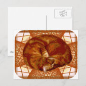 Kattenbakken Briefkaart (Voorkant / Achterkant)