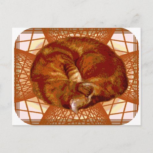 Kattenbakken Briefkaart (Voorkant)