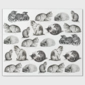 kattenbakken keukencollage cadeaupapier (Vlak)