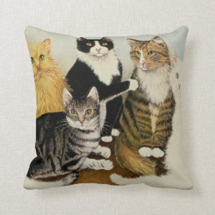 Kattenbakken Kussen