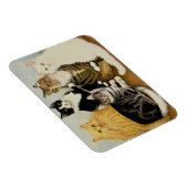 Kattenbakken Magneet (Rechterzijde)