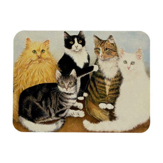 Kattenbakken Magneet (Horizontaal)