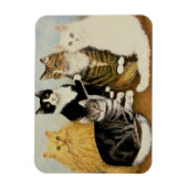 Kattenbakken Magneet (Verticaal)